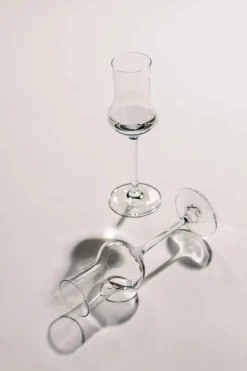 Bar Special Grappa Glas - 6 stk.