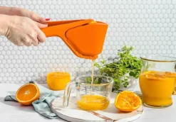 Fluicer Citruspresser