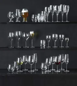 Palace Champagneglas - 6 stk.