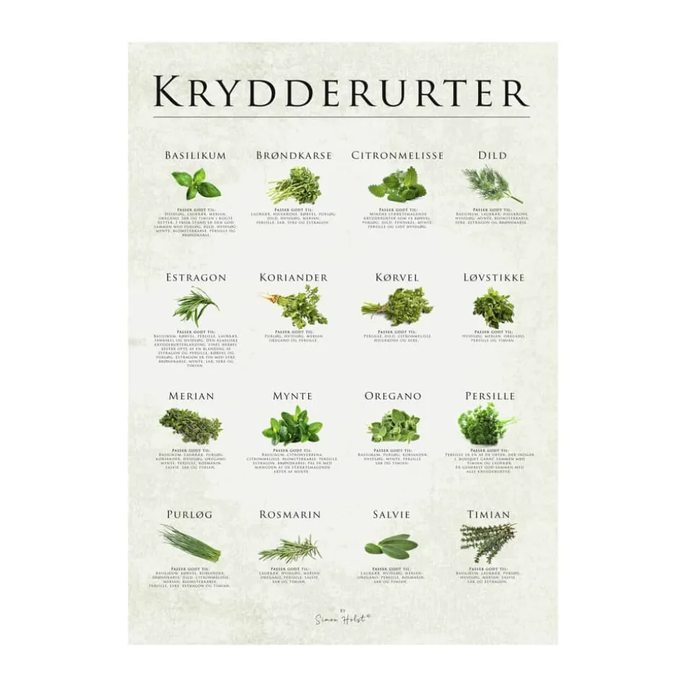 plakat - Krydderurter