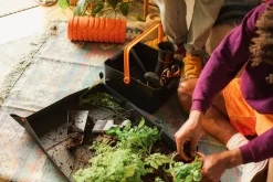 Plant Care Redskabskasse