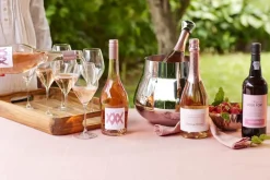 Prosecco Rosé