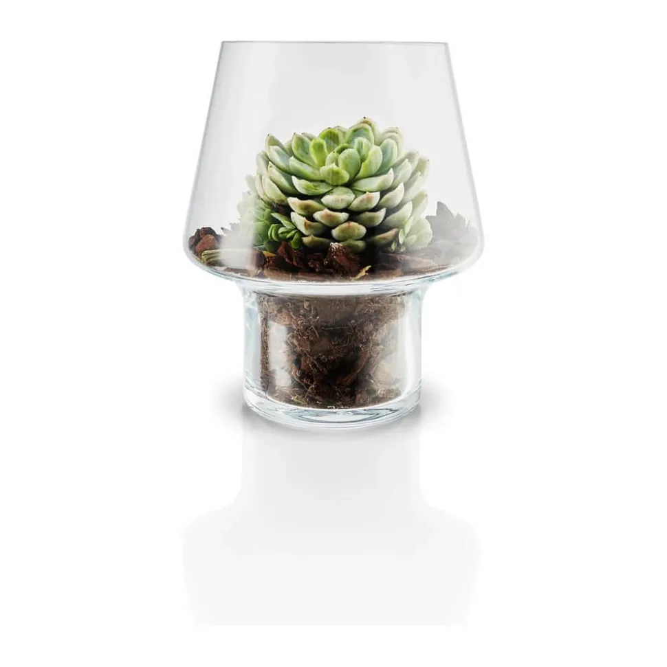 Sukkulent Vase